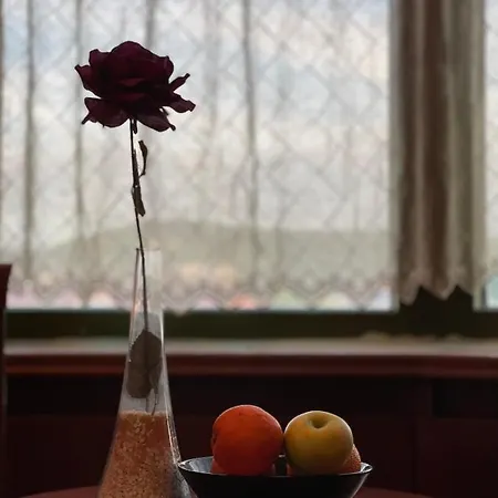 Hotel Tadz Novi Pazar
